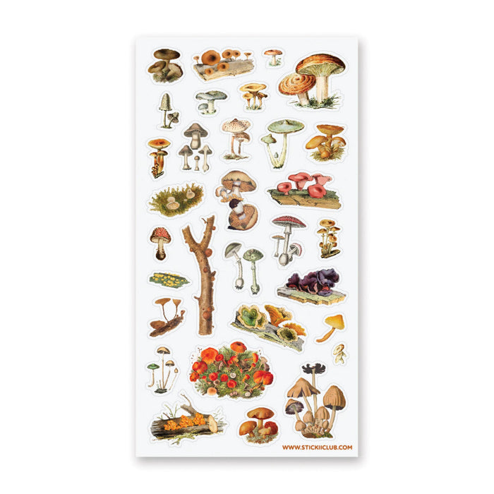 World of Fungi Sticker Sheet