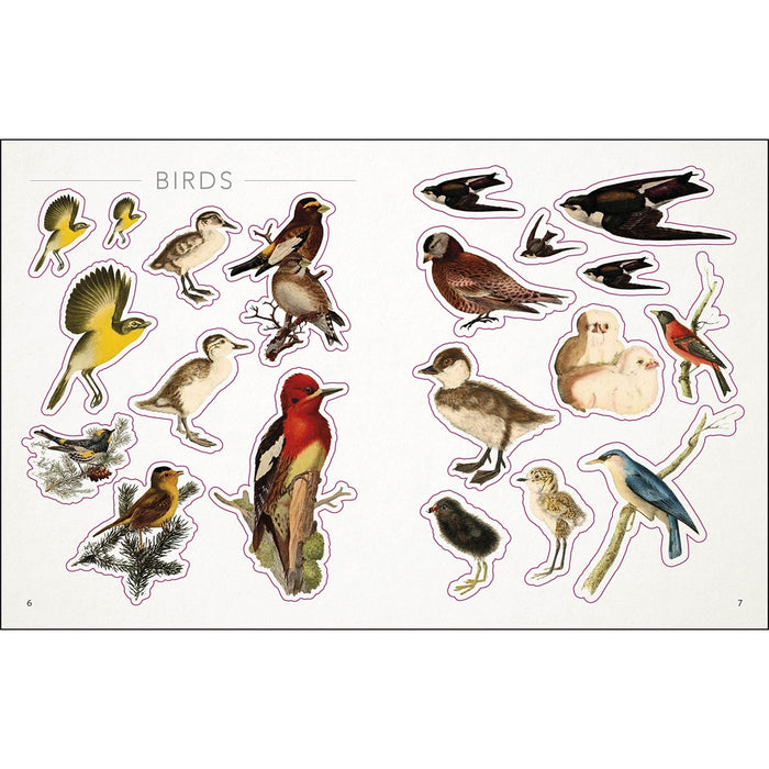 The Bees, Birds & Butterflies Sticker Anthology