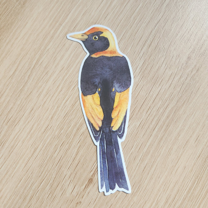 Australian Birds Large Vinyl Stickers