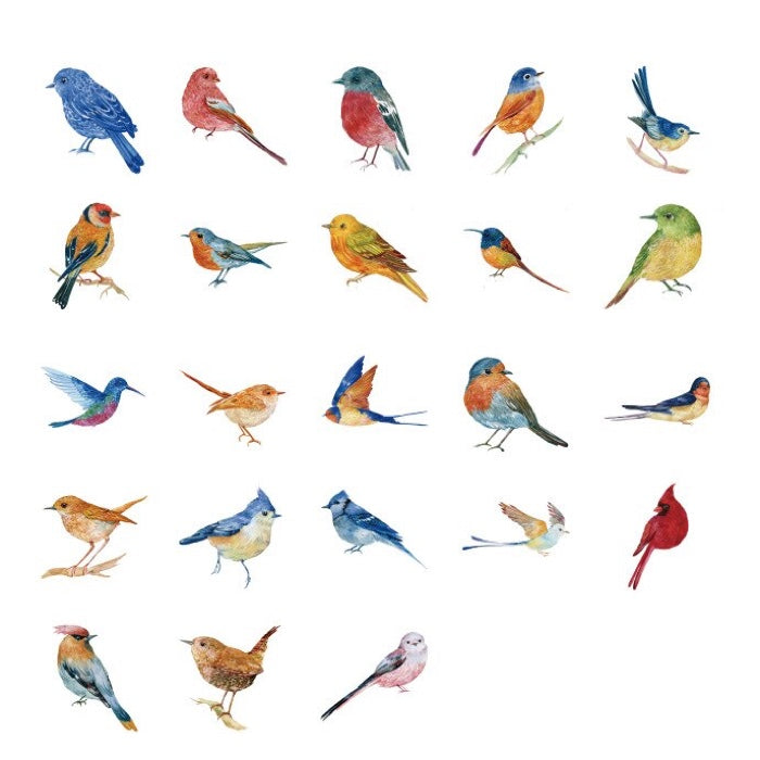Colourful Birds Stickers