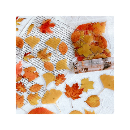 Transparent Autumn Leaves Stickers