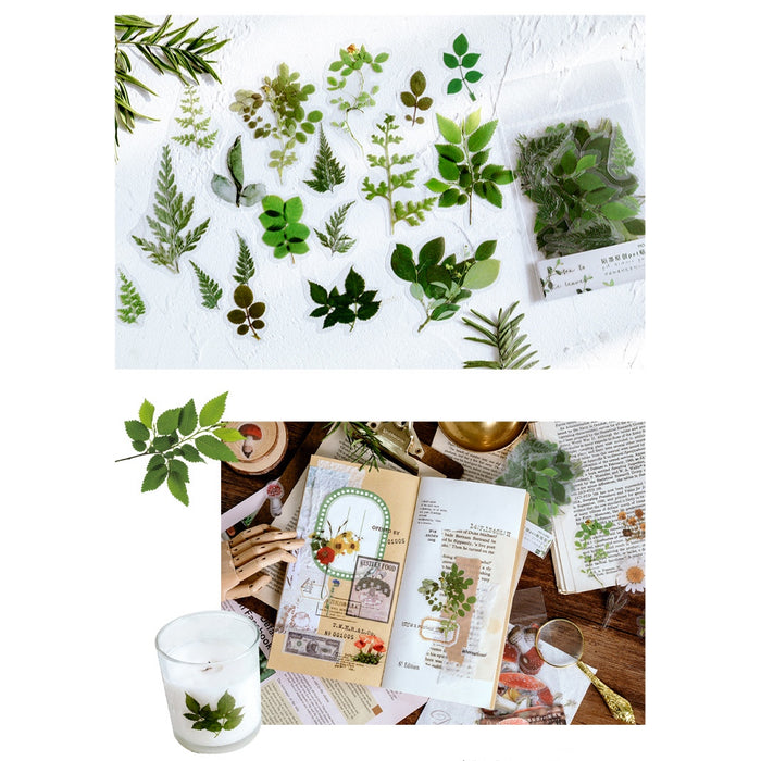 Transparent Green Leaves Stickers