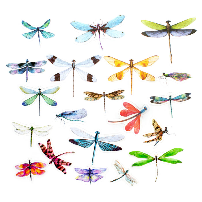 Transparent PET Dragonfly Stickers
